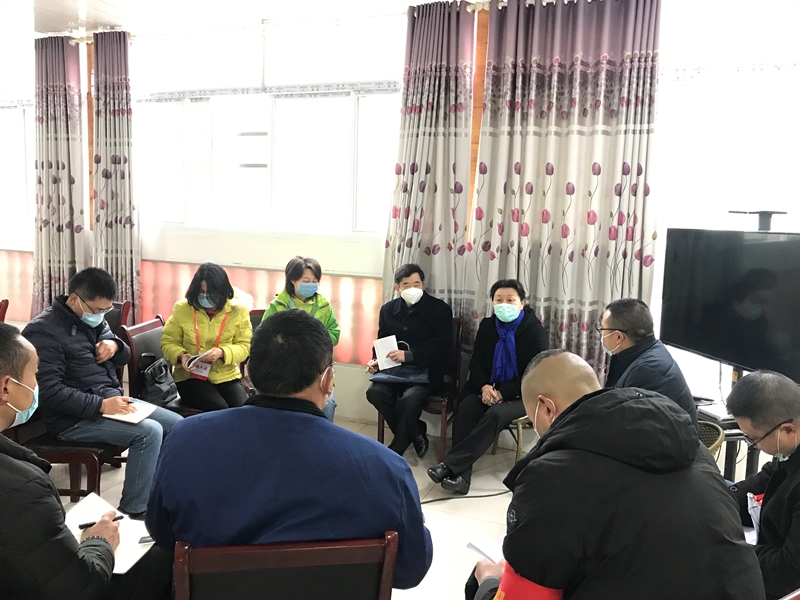 吴志君到芦山县太平镇春光村调研督导脱贫攻坚工作