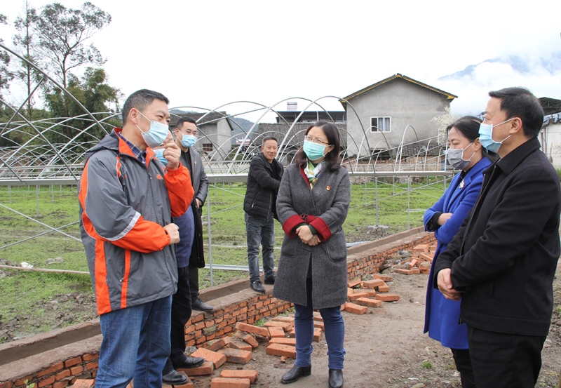 李勇赴荥经调研《四川省人大常委会关于依法做好新冠肺炎疫情防控工作的决定》贯彻执行情况并开展联系工作