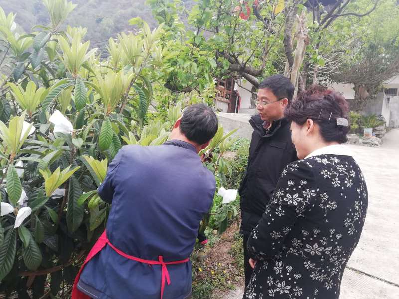 杨兴品到宝兴县开展脱贫攻坚挂牌督战