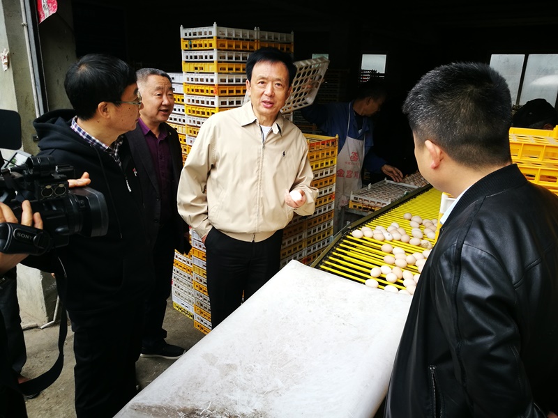 李伊林赴名山调研茶产业发展和农村面源污染治理