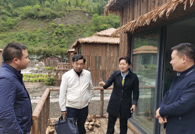 吴志君到芦山县大川镇调研“8·22”灾后恢复重建工作