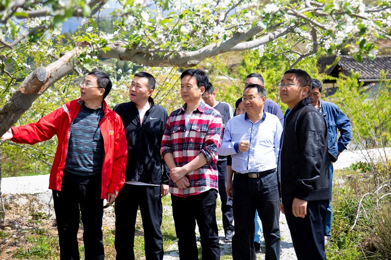 李伊林调研石棉、汉源脱贫攻坚和产业发展时强调   因地制宜发展特色产业 推进县域经济高质量发展