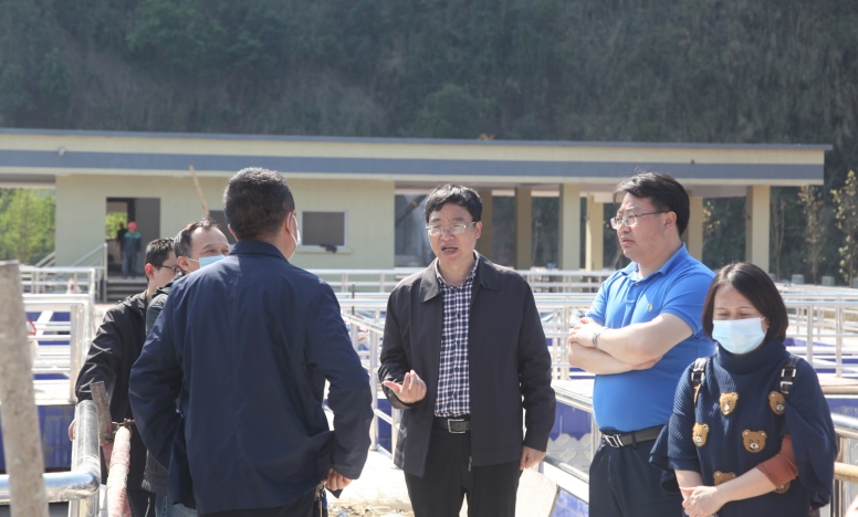 杨兴品赴雨城区调研我市建筑业发展情况