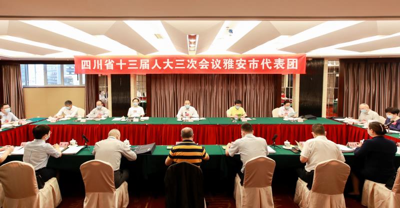 雅安代表团举行第一次会议   推选兰开驰为团长  邹瑾李伊林黎明为副团长