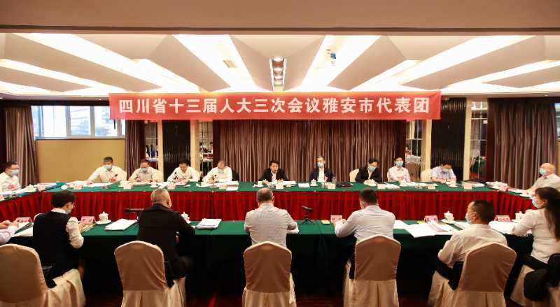 雅安代表团举行第二次会议  审查政府工作报告等  罗文叶壮参加审查并发言  兰开驰邹瑾李伊林等参加审查