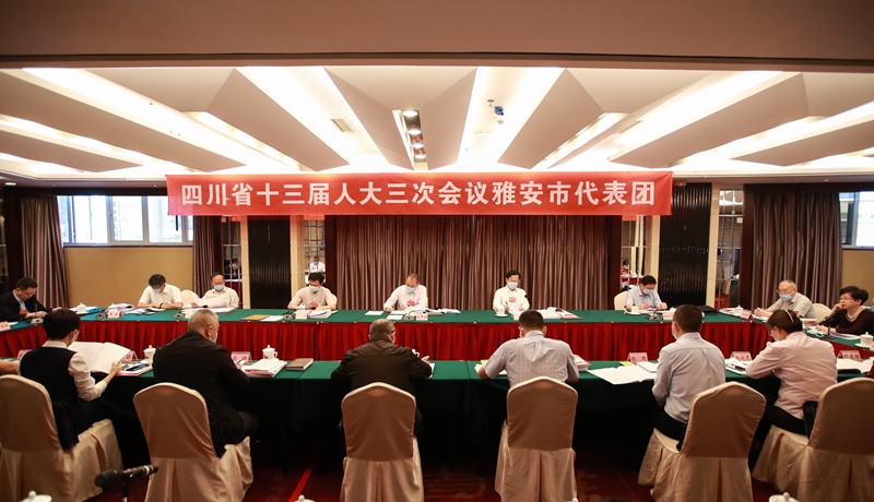 雅安代表团举行第三、四次会议审查省人大常委会和“两院”工作报告
