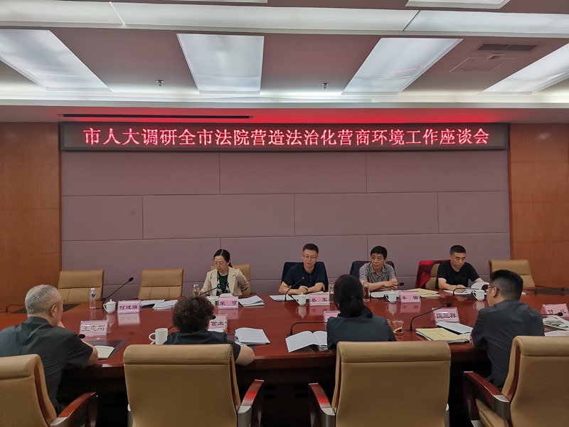 蔡军到市法院等地调研全市法院履行职能营造法治化营商环境工作