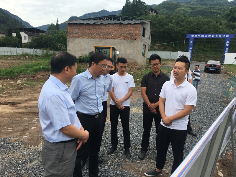 杨兴品赴荥经指导“双走访”专项工作