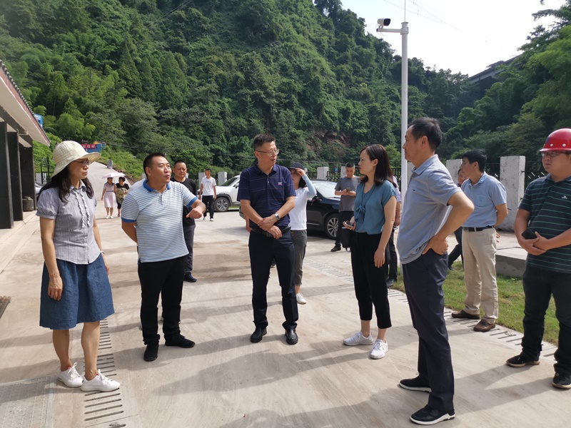 蔡军到雨城区调研河长制等工作