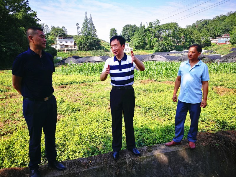 李伊林赴市农业园区开展“双走访”时强调 强化产业示范科技支撑 不断培育壮大绿色产业绿色经济