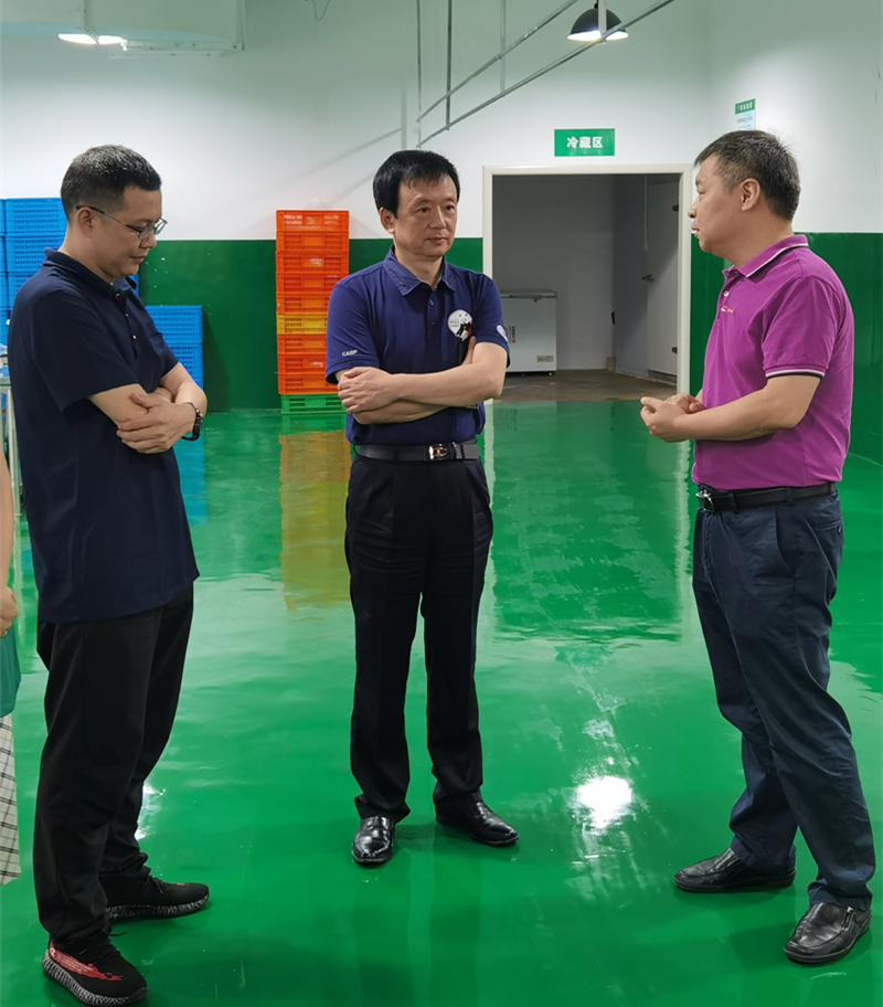李伊林带队调研供销综合改革工作 持续推进供销综合改革 释放更大发展活力