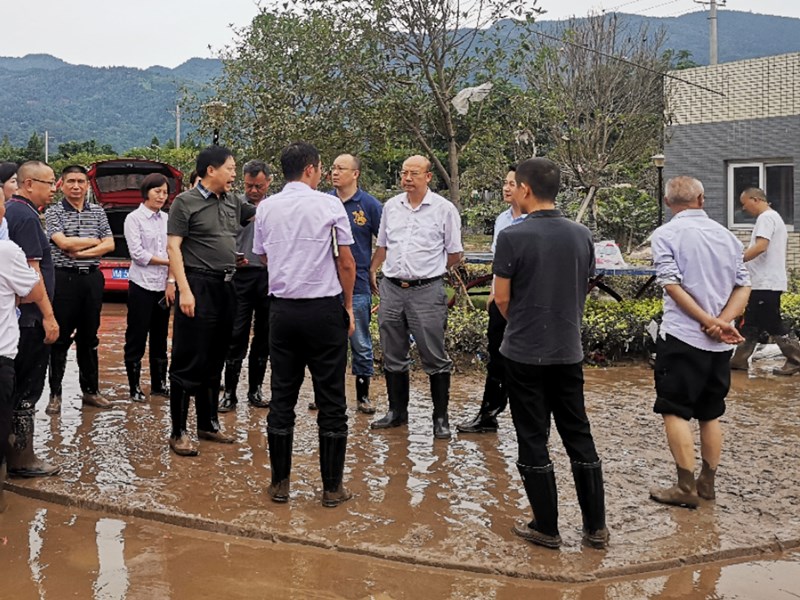 宋开慧、郑尚堃赴雨城区指导防汛抢险救灾和恢复生产工作