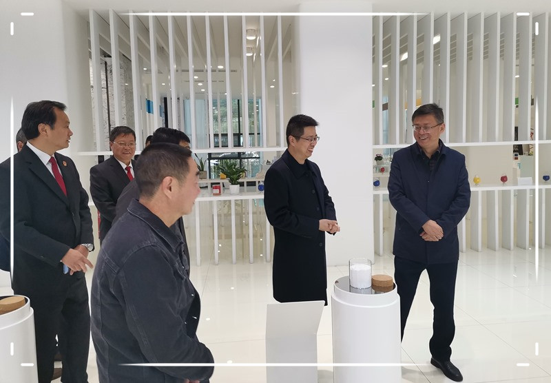 蔡军带队调研全市法院履行职能营造法治化营商环境工作审议意见研究处理情况