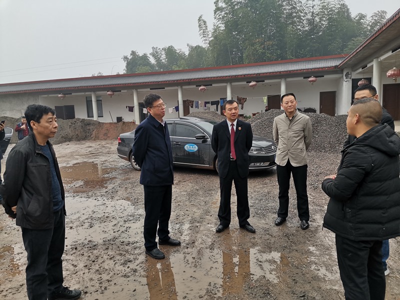 蔡军带队调研全市检察机关履行职能营造法治化营商环境工作审议意见研究处理情况