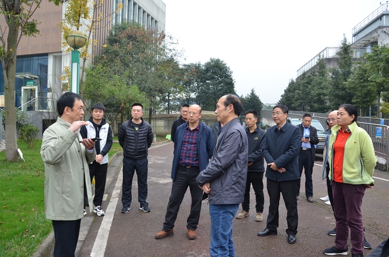 省人大调研组来雅调研全民健身事业发展情况