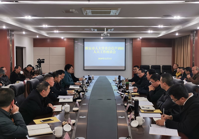 李伊林赴芦山县开展县乡人大工作调研时强调  确保落实各级党委重大决策部署 推动重点工作落地落实不缺位