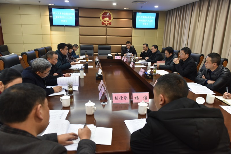 市人大常委会专题调研县乡人大工作和建设