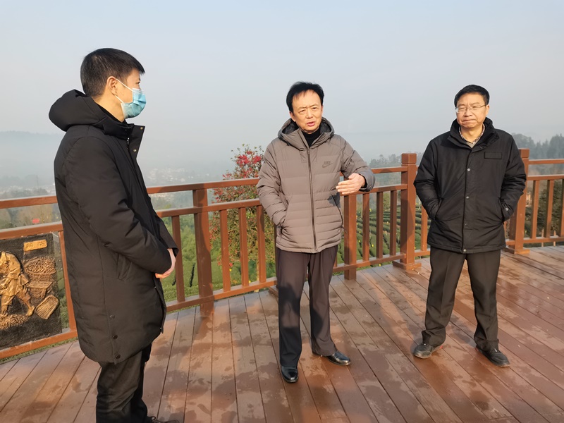 李伊林赴雨城区调研茶产业发展及耕地质量安全监测情况