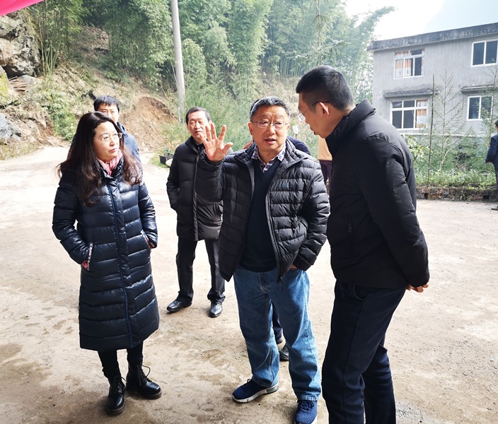 刘平赴雨城区调研项目工作