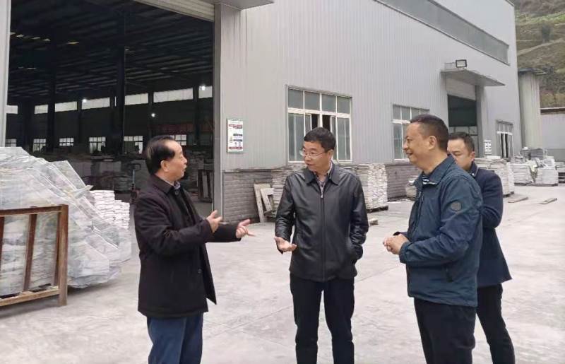 杨兴品赴宝兴县调研工业企业复产复工情况