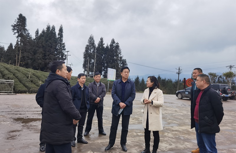 省人大民宗委副主任委员罗吉布一行来雅开展调研