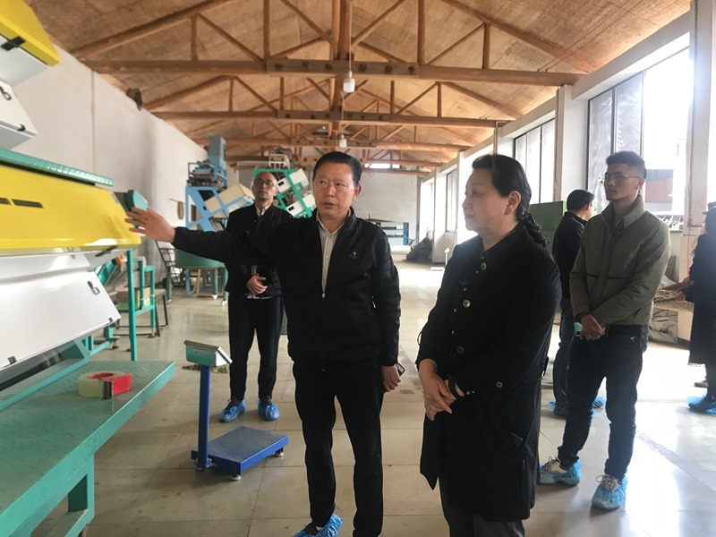 吴志君带队调研绿色（有机）农产品基地建设保护情况
