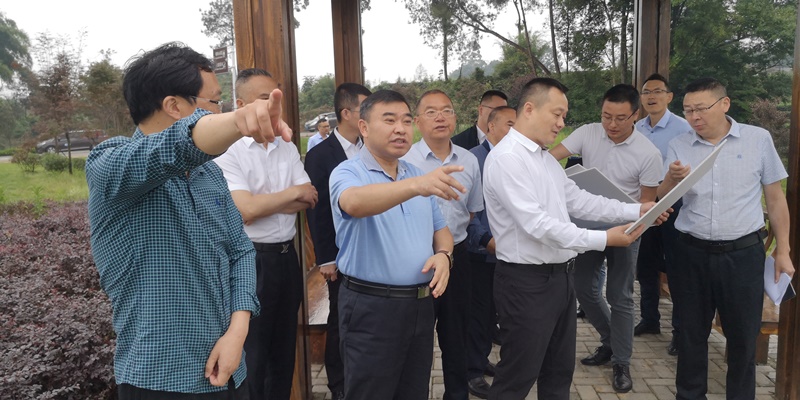 周建华赴名山区调研自然资源开发利用和保护情况