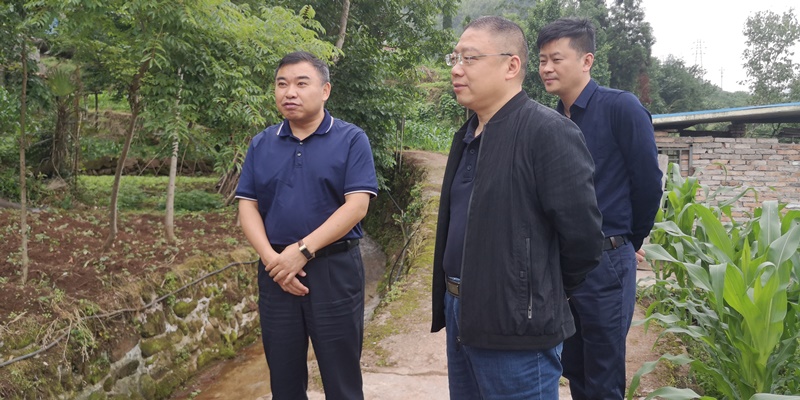 周建华到荥经县调研督导防汛减灾和地灾防治工作
