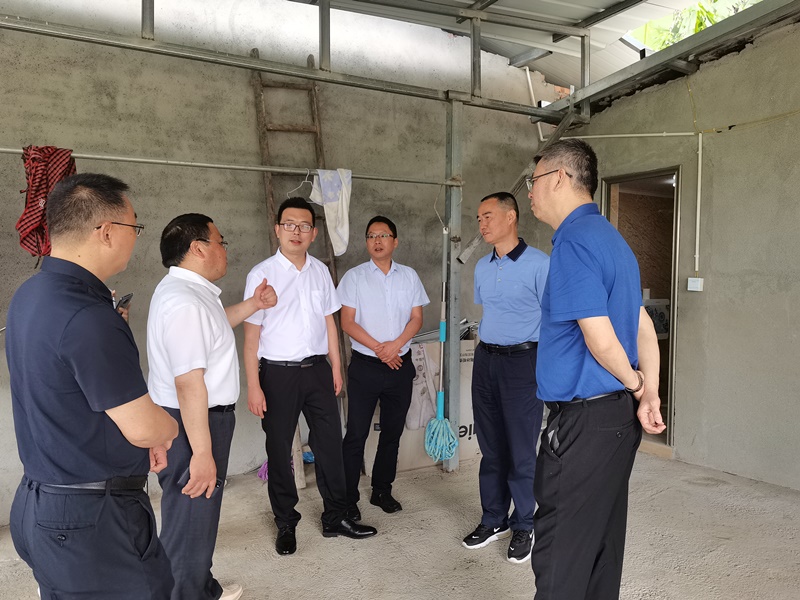 省人大农业农村委副主任委员杜志仁赴名山区调研农村“厕所革命”民生实事项目进展情况
