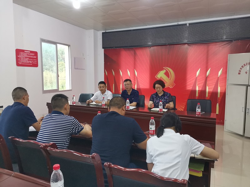 蔡军到芦山开展党史学习教育和党员慰问活动