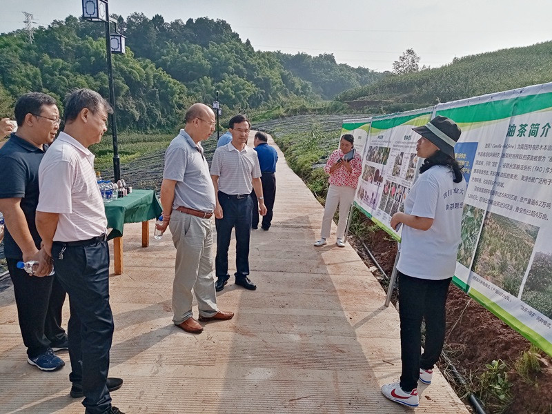 郑尚堃带队调研与四川农业大学市校合作推进情况