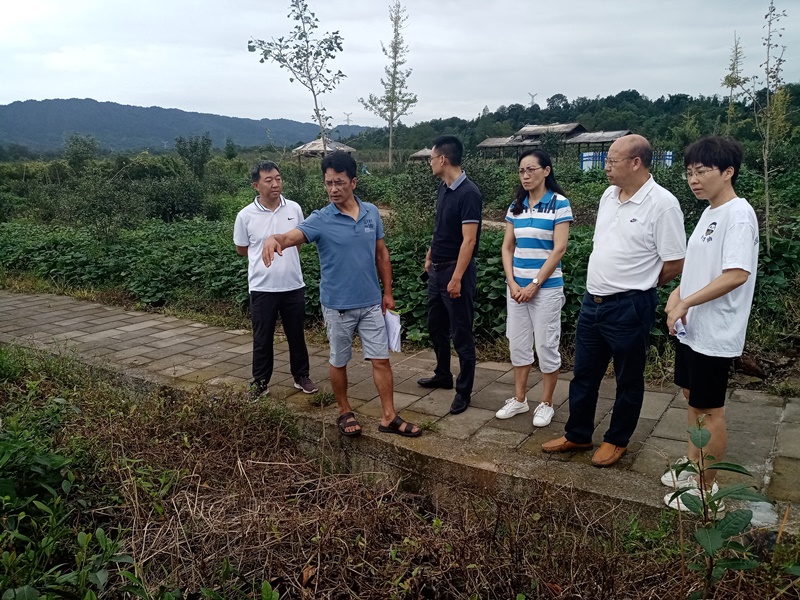 郑尚堃赴雨城区调研与川农大市校合作工作推进情况