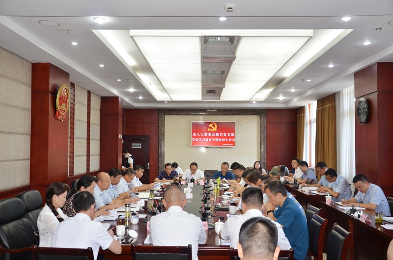 增强党性修养 创新推动工作  市人大常委会机关党支部党史学习教育专题组织生活会召开