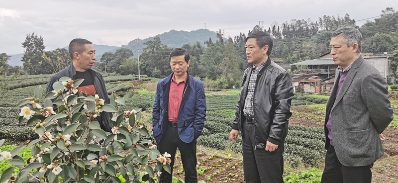 彭学松调研油茶产业