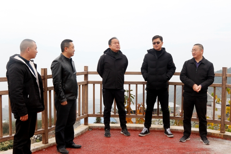白云赴汉源县调研时强调：紧扣方向路径尊重群众意愿  大力推动乡村全面振兴