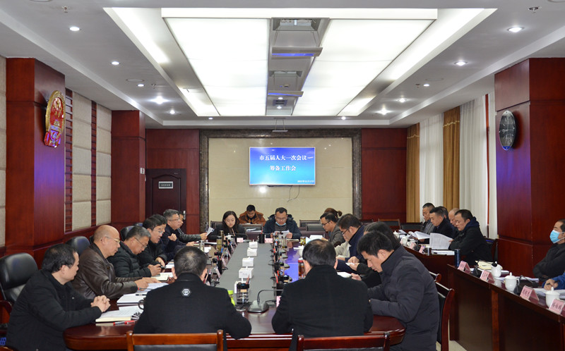 市五届人大一次会议筹备工作会召开