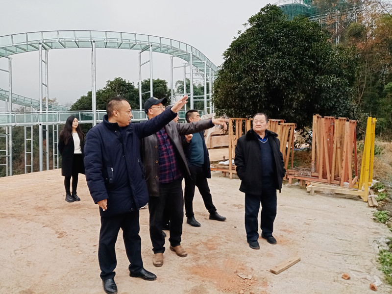 郑尚堃调研文旅项目工作推进情况