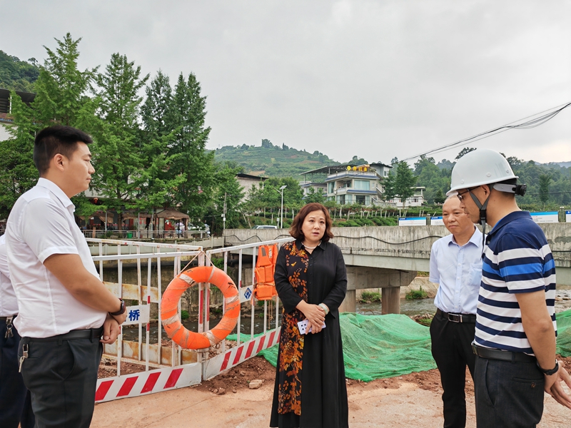 蒲丹惠赴名山区督导检查地质灾害防治等工作
