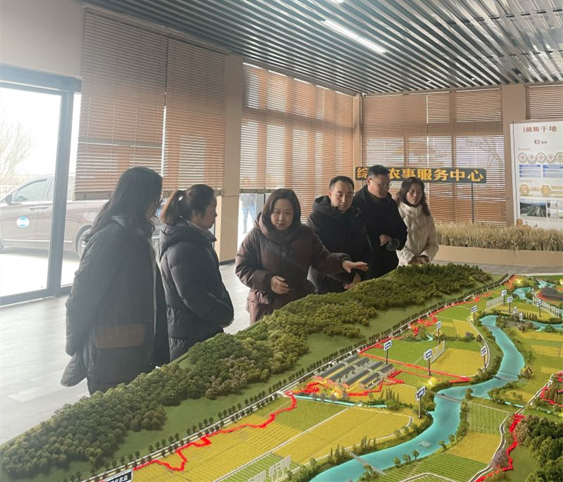 蒲丹惠赴雨城区调研农业现代化及乡村振兴工作