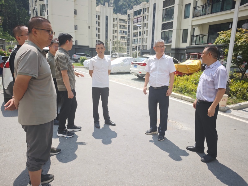 蔡军带队开展民宿促进和管理立法调研