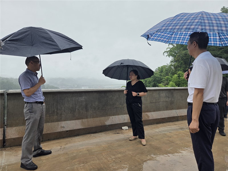 蒲丹惠赴雨城区督导联系重点项目