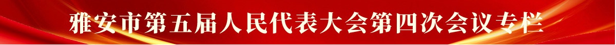第五届人民代表大会第四次会议