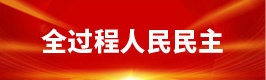 全过程人民民主