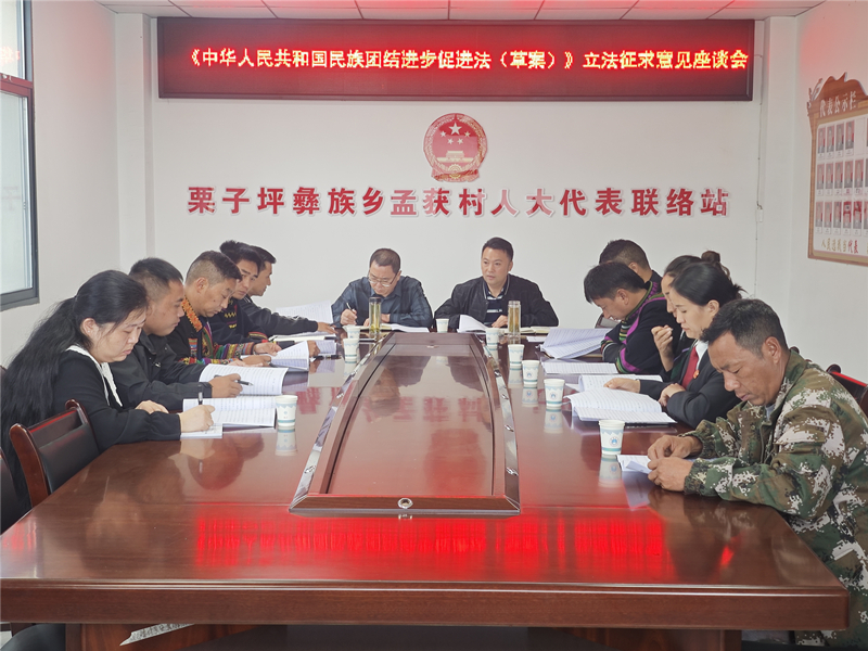 001召开座谈会征求代表意见建议_副本.jpg