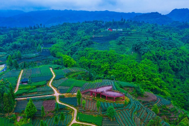 02 省级五星级农业园区——草坝镇.jpg