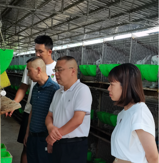 县人大常委会主任柯国富调研特色长毛兔发展.png