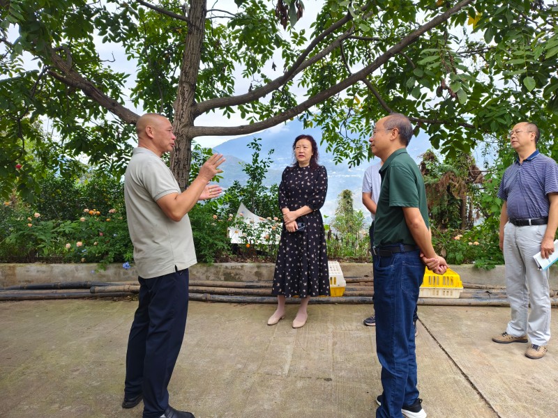 ල Эͬˡʯԡ˴ල+Эͬʳȫ