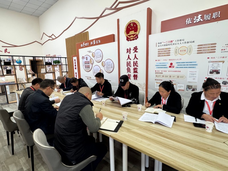 03 区人大代表、镇人大主席杨立组织代表学习代表法.jpg