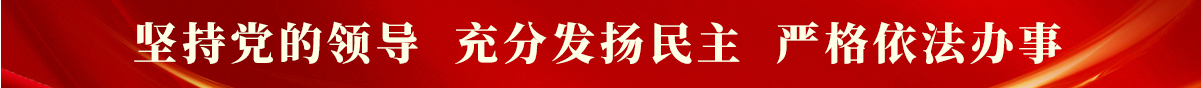 坚持党的领导  充分发扬民主  严格依法办事