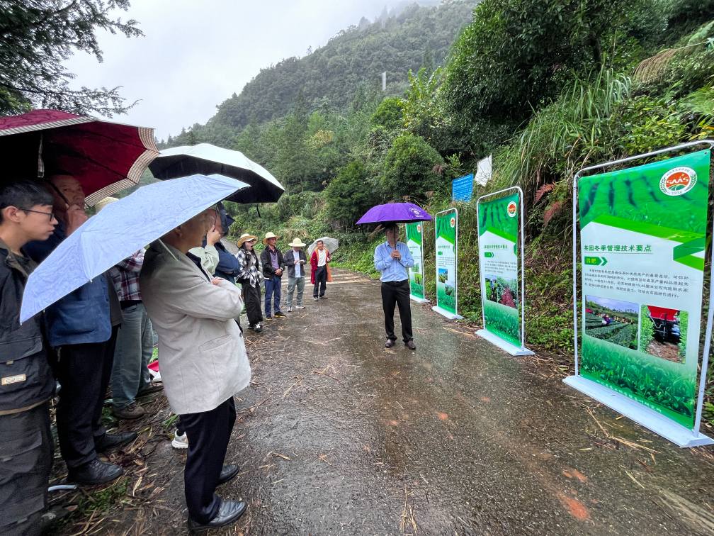 001省农科院茶叶研究所专家讲解冬季茶园管护要领.jpg